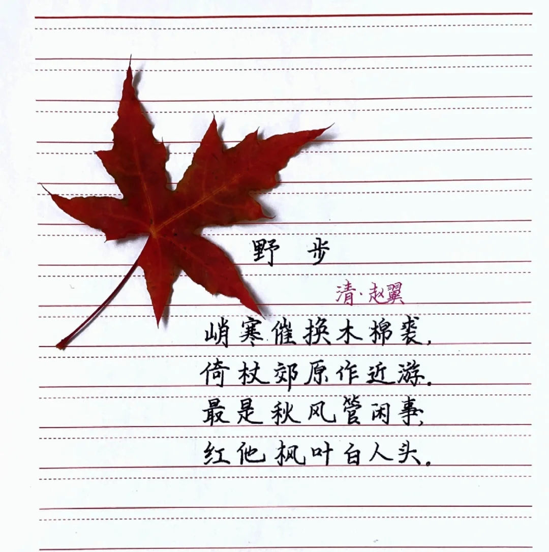清·赵翼《野步》