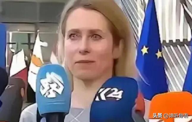 欧盟的官宣再次震惊了全世界：从今年开始，一切与中国有关的科研机构，都将没有资格参