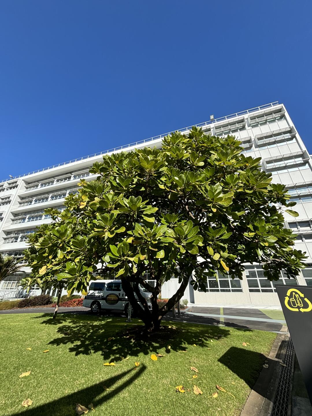 强女思维就是顺手就做