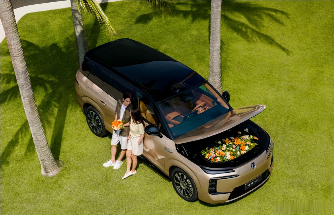 🚗 腾势N8L纯电昨晚在深圳上市，闪充尊荣型/旗舰型两个版本，29.98万和3