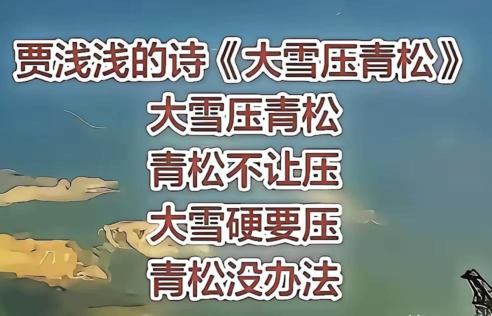 告诉我这不是真的，
有网友说这是贾浅浅的新作，
我是万万不敢相信啊，
以前她不出