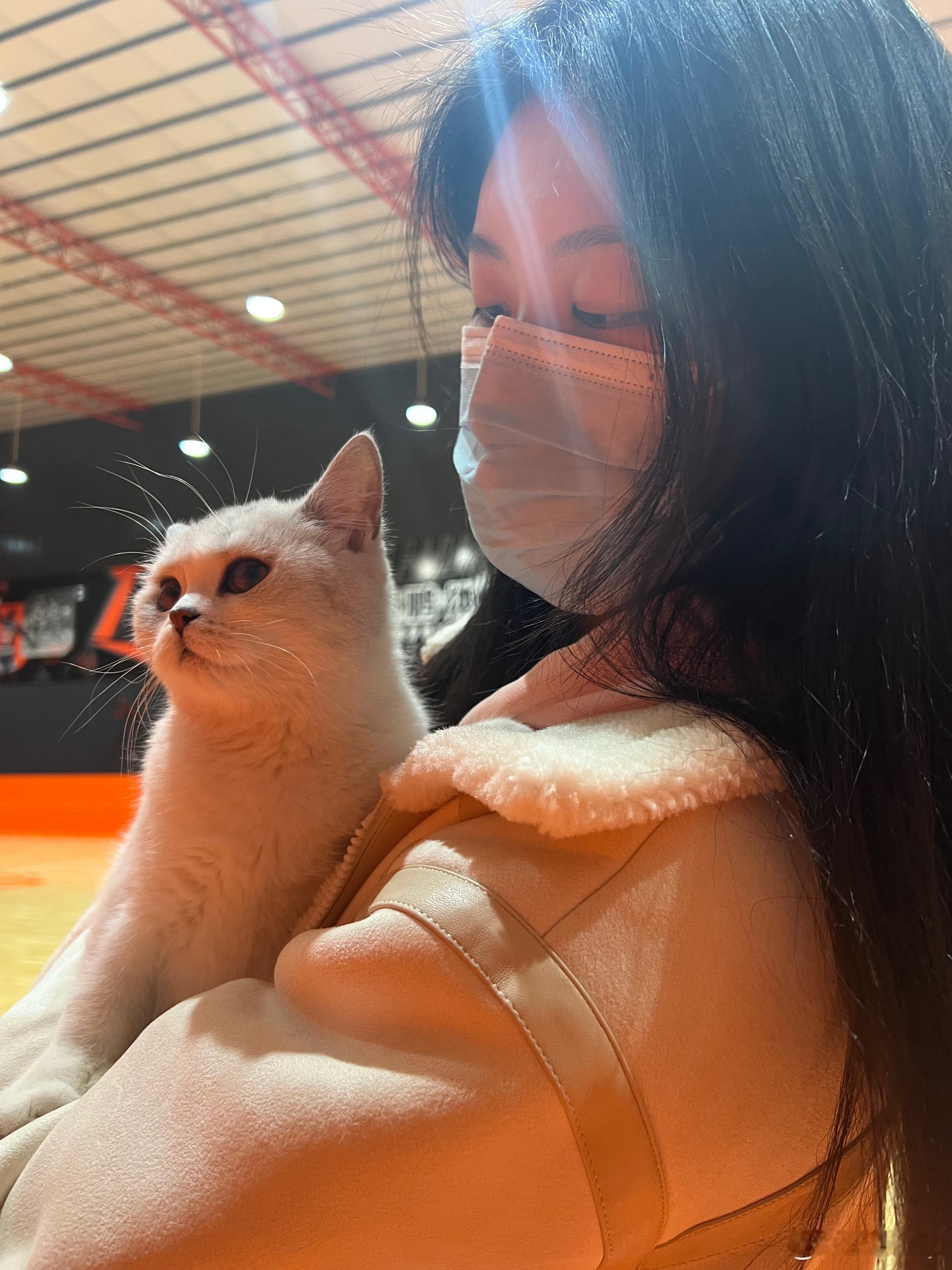小猫社恐怎么办？？？ ​​​