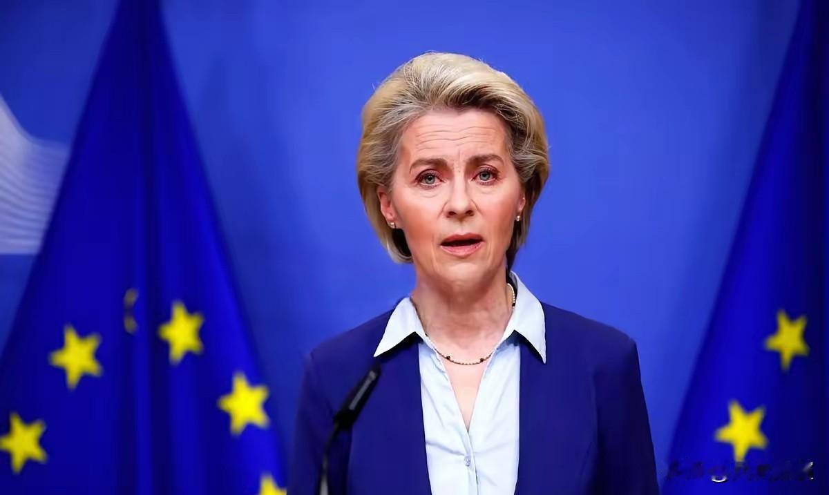 有人当着冯德莱恩的面，问了一个让她差点当场“宕机”的问题

这个问题真是问到点子