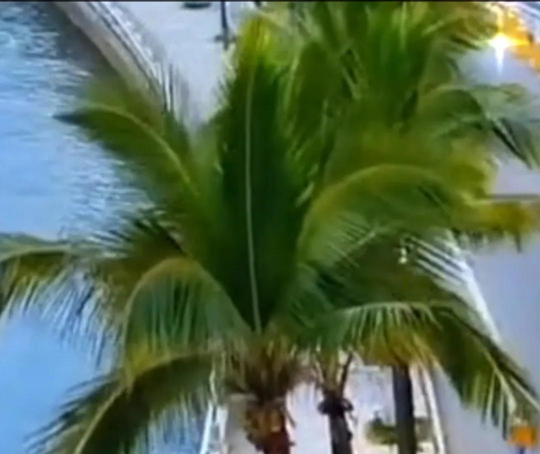 水能洗掉的东西就不是脏东西，但是语言上的抹黑，是水洗不掉的。
一张白纸上落了灰，