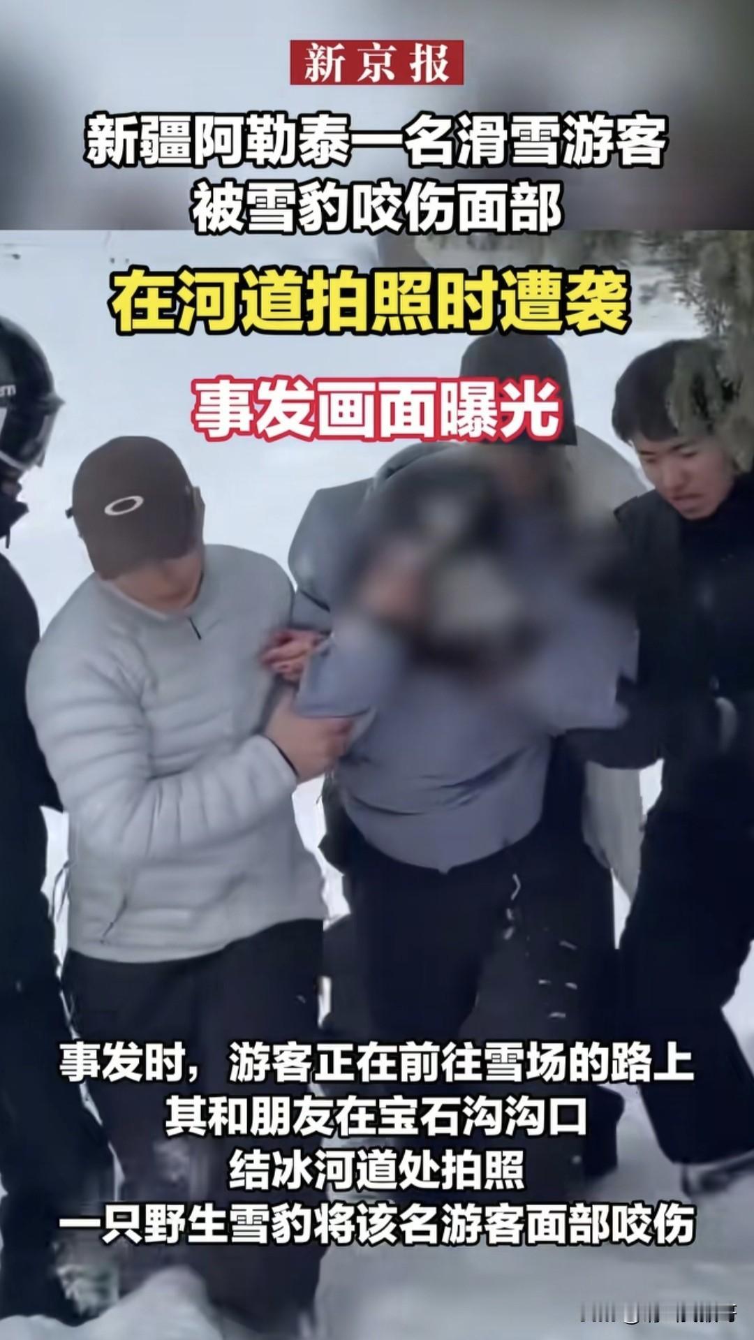 雪豹伤人的事大家都知道吧？我觉得出现这样的事的本质就是现代人对大自然完全没有了敬