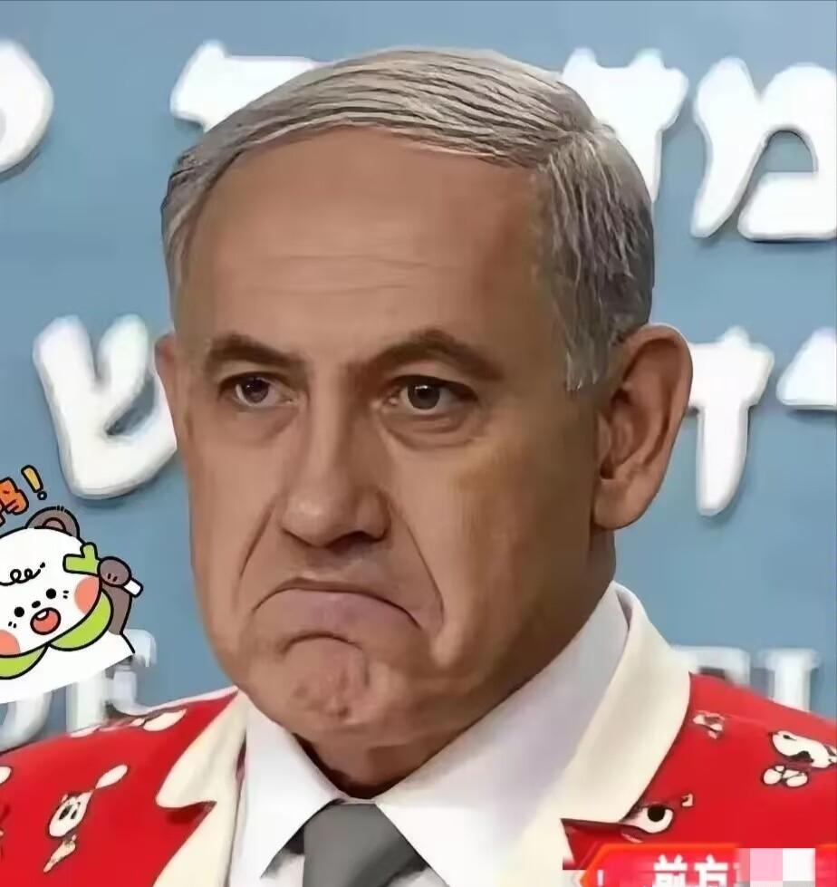 以色列最新消息！

2026年4月5日，以色列突然翻脸了，宣布把所有跟法国的国防