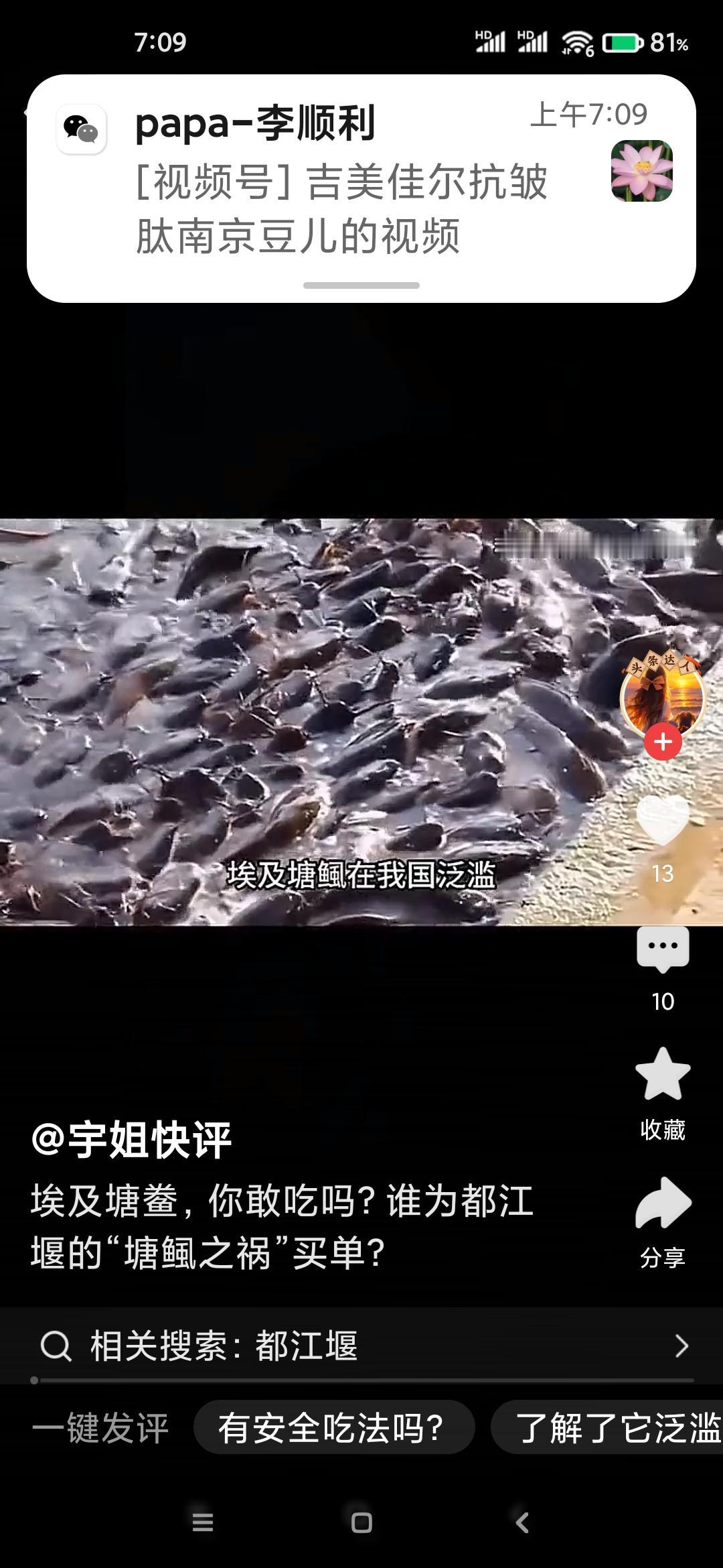 近日，有人反映四川都江堰市紫坪铺水库出现大量埃及塘鲺，并称这些鱼可能是被人放生到