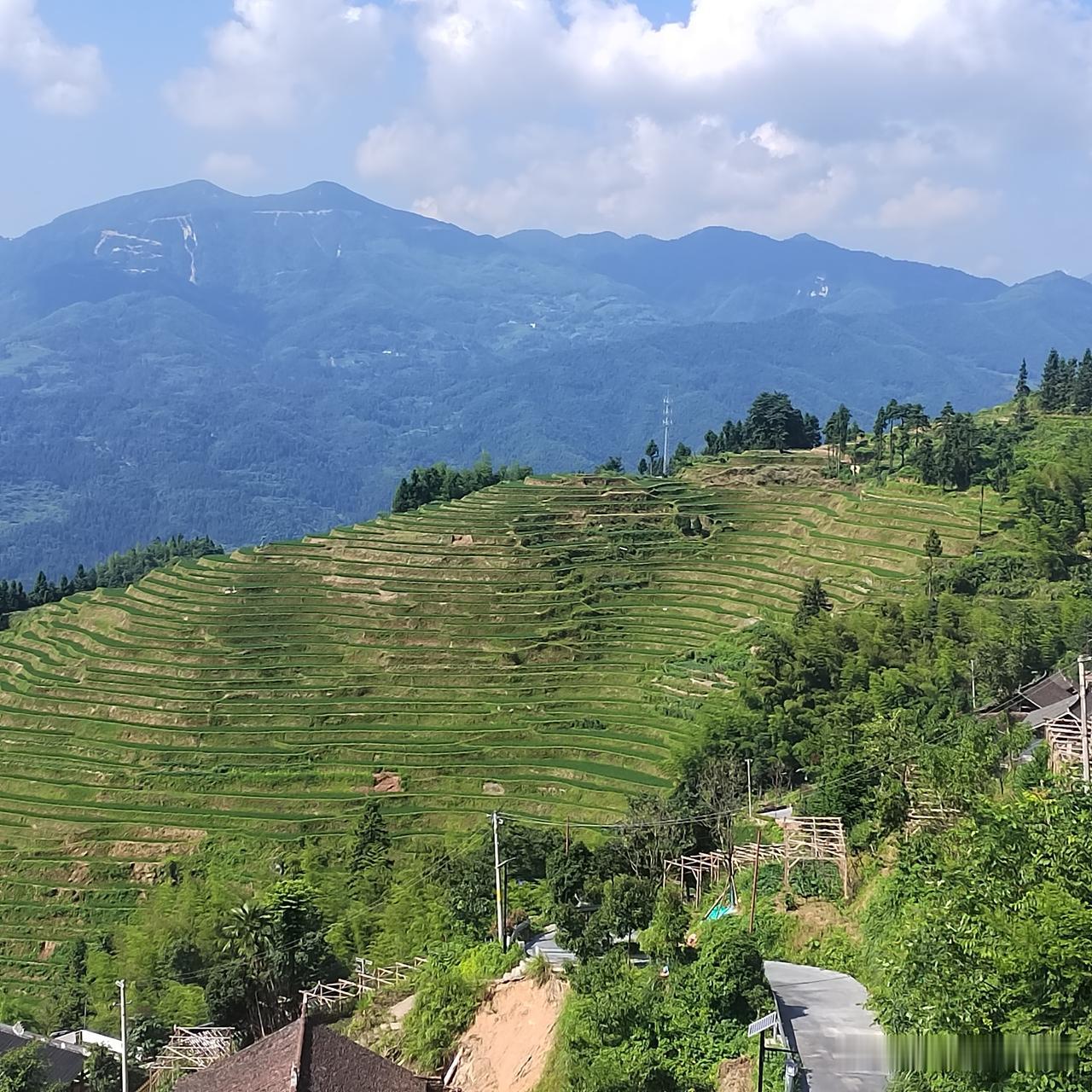 分享一张你最近随拍的照片新化紫鹊界梯田，三大旅游梯田景点之一。梯田景点到处都有，