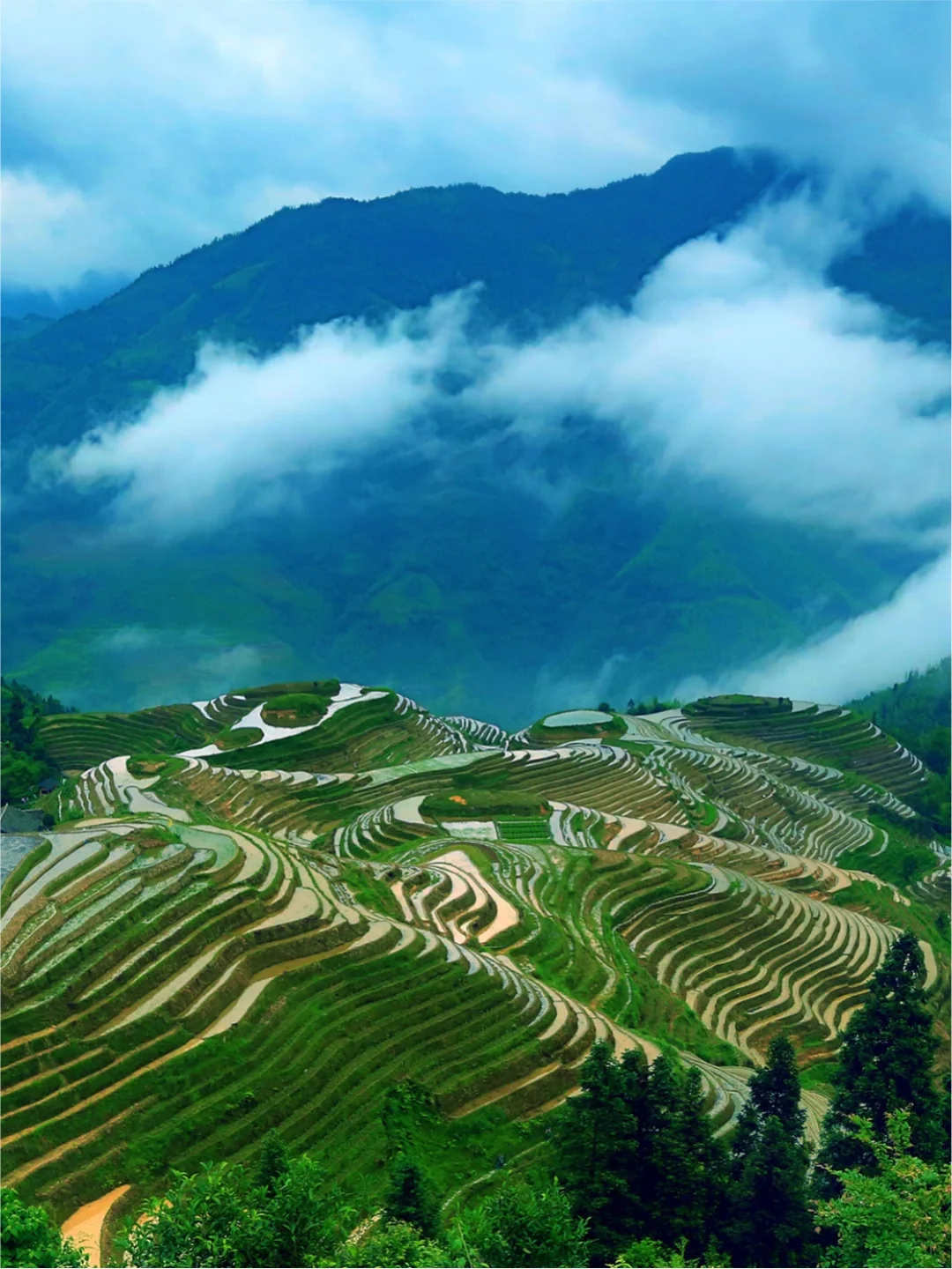 龙脊梯田2日游不走路攻略‼️记得收藏‼️