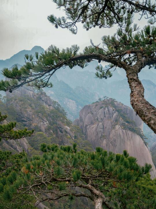 从黄山旅游回来，1⃣日保姆级攻略懒人必看