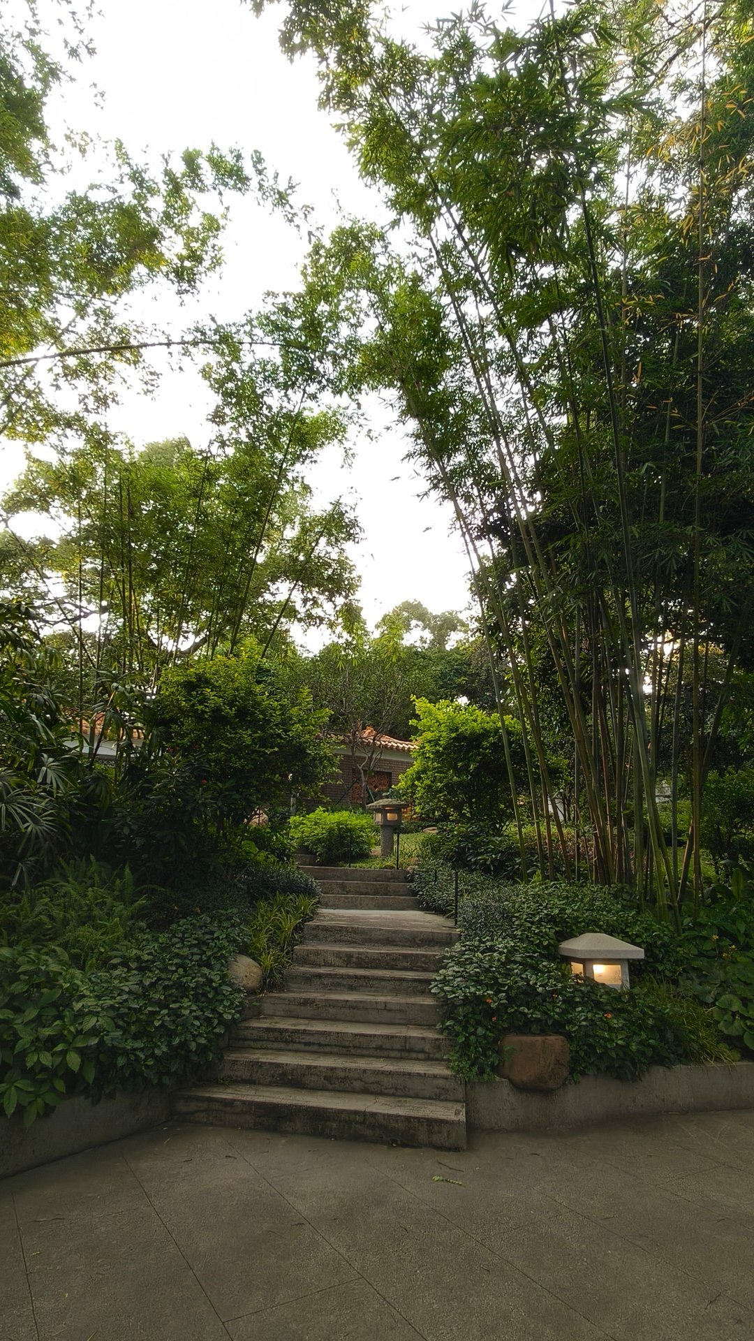 邀请你们吸个氧气🍃 