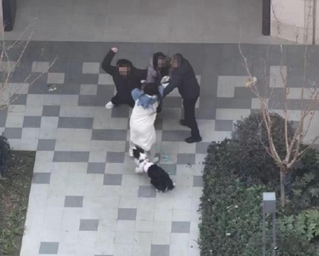 近日，上海一女子在视频中讲述了目击邻居被殴事件的详细经过，引发了社会的广泛关注。