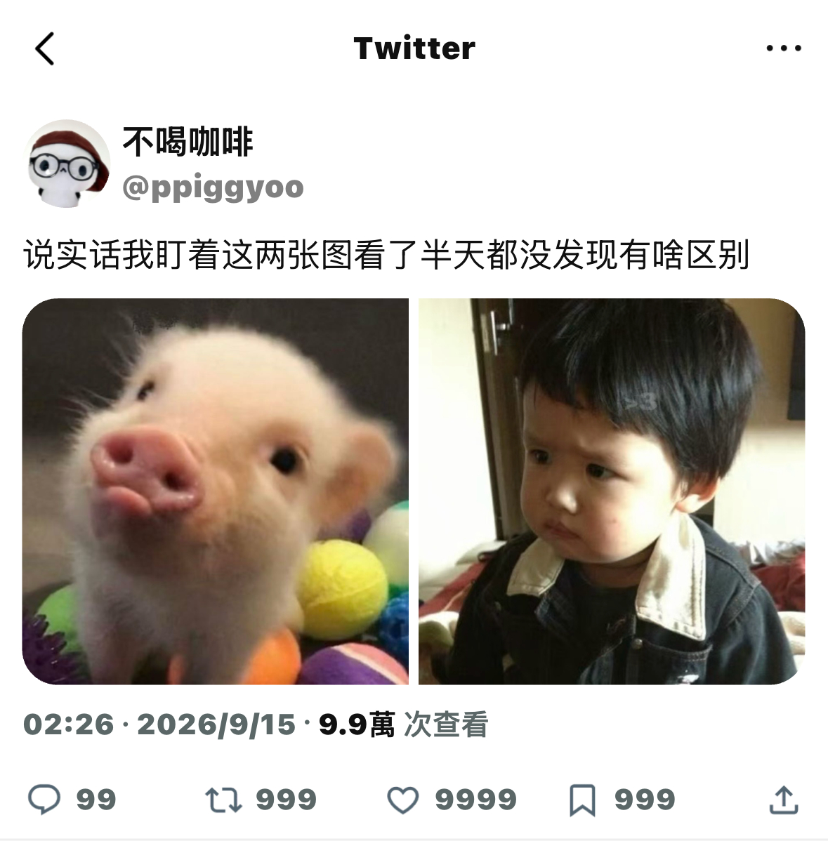 分享图片 ​​​