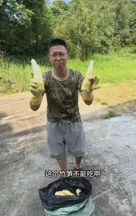太难了！百亿麻竹笋产业，经不起一锅硫磺。

清远英德是全国麻竹笋种植面积最大的地