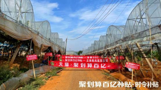 前几天有个“卖水果”的人和事火了，那就是5月14日，刘涛在直播间爆卖了近10吨的