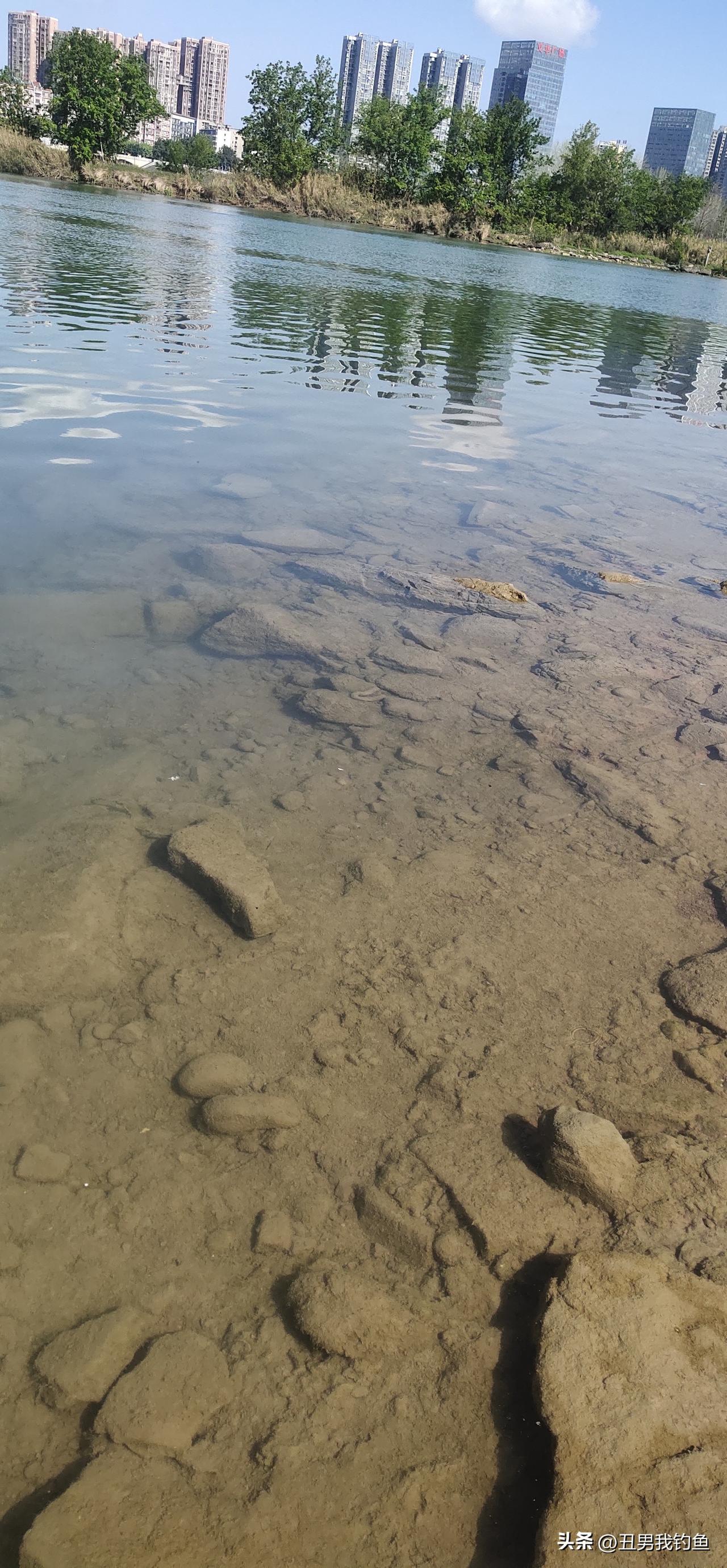 南充嘉陵江的水确实清澈得让人惊艳！嘉陵江全长1345公里，其中300公里贯穿南充