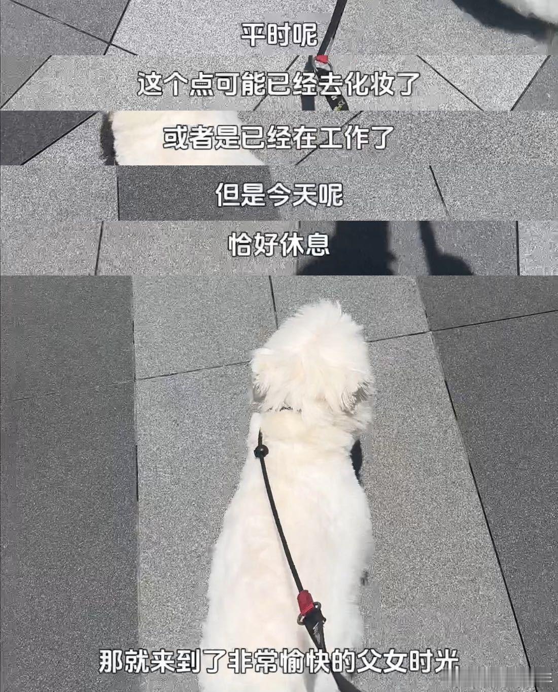 刘学义一日vlog18宫格从清晨到夜晚，刘学义用vlog记录了自己和小歪的每一个