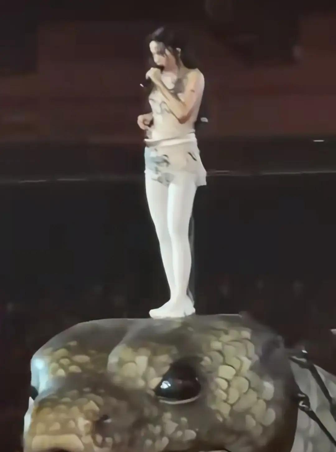 15米机械巨蟒张嘴咬舞台
 
它抬头那一下，全场手机全举高。蔡依林白裙站在蛇头，