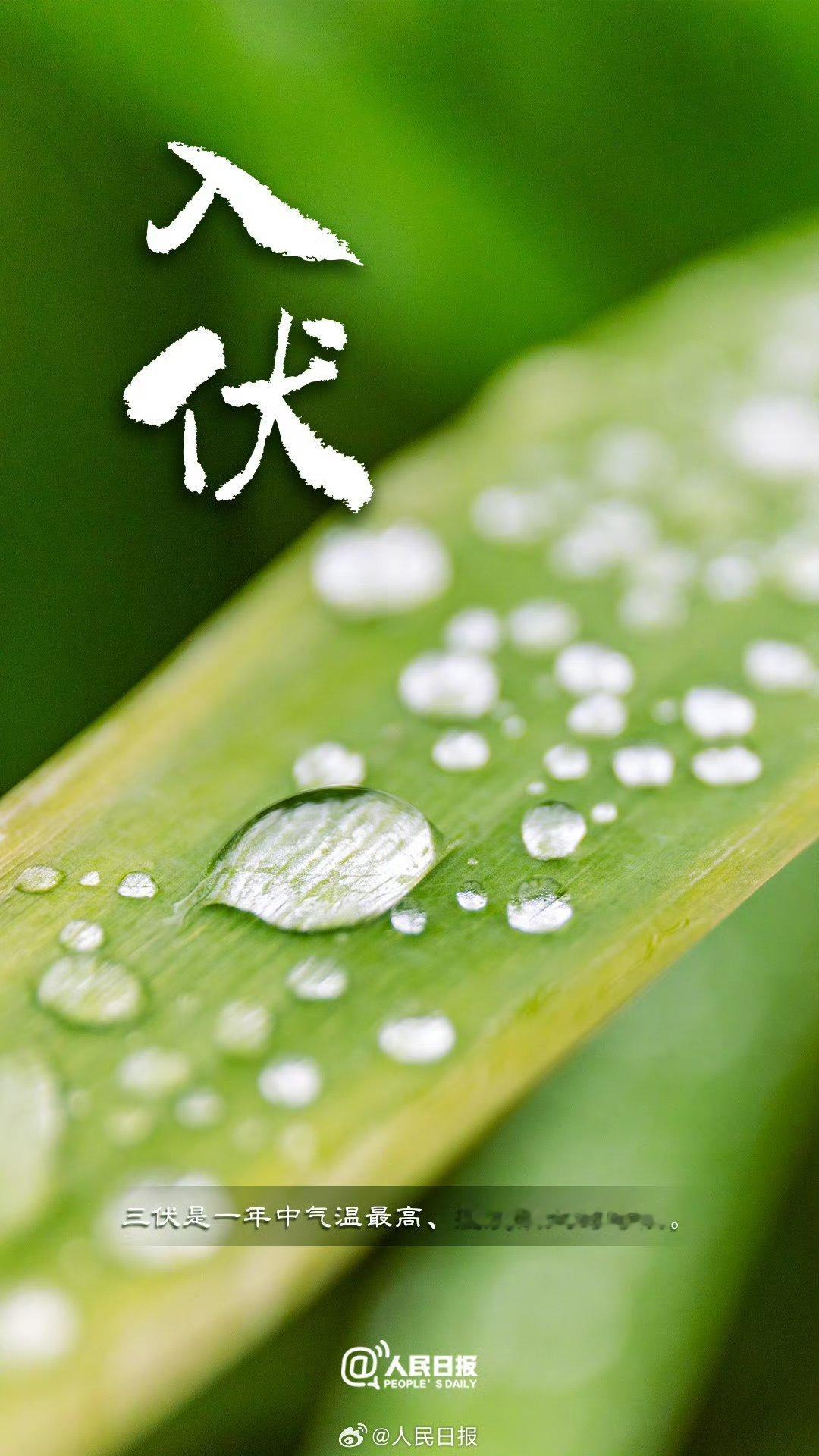 每日一善💞阳光信用 每日‬一善  每个善念都是心灵的深刻修行，每次善行都是生命