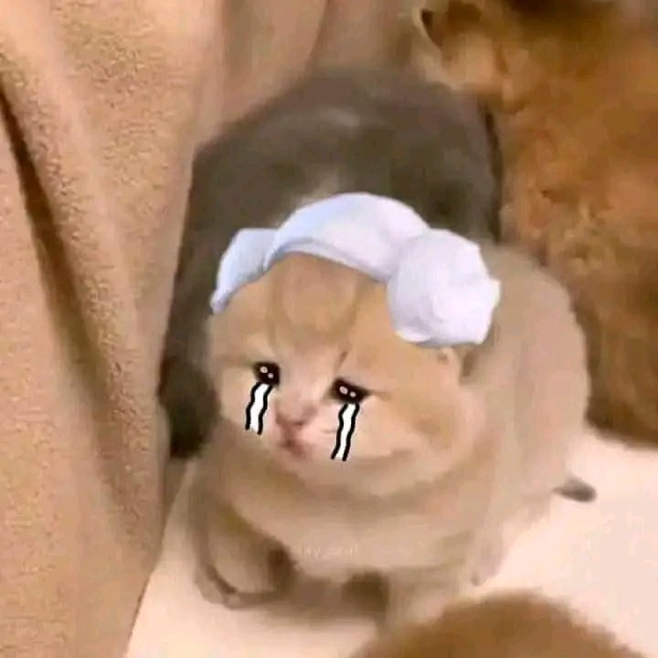 这个x是永远不再提醒了吗像漂流瓶一样 好痛苦 