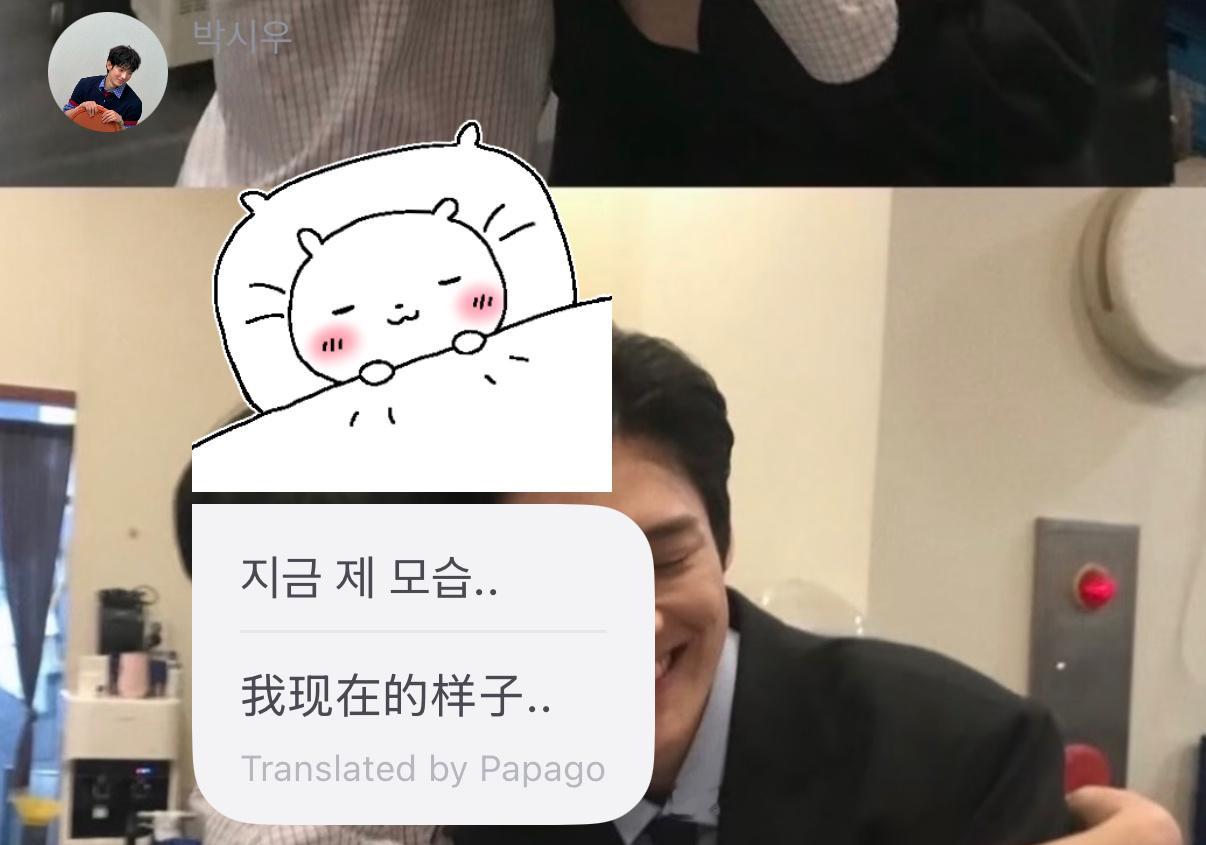 全天下最萌之物