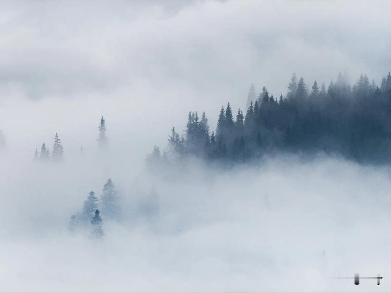 快来看看我新换的主页背景吧