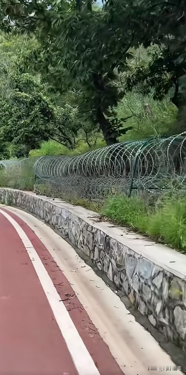 小时候家里穷，但那时候是真的快乐。不是因为别的，是那时候大家都差不多，没那么多比