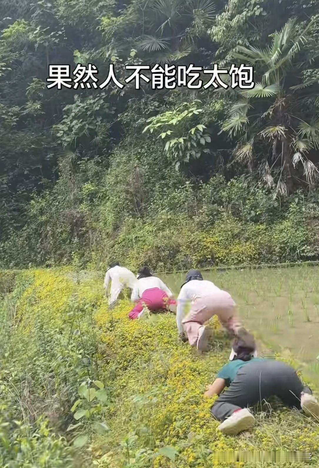 这是打算回到远古时代？人类进化到现在，可不是为了学蛤蟆跳的。亲近自然的方式，有很