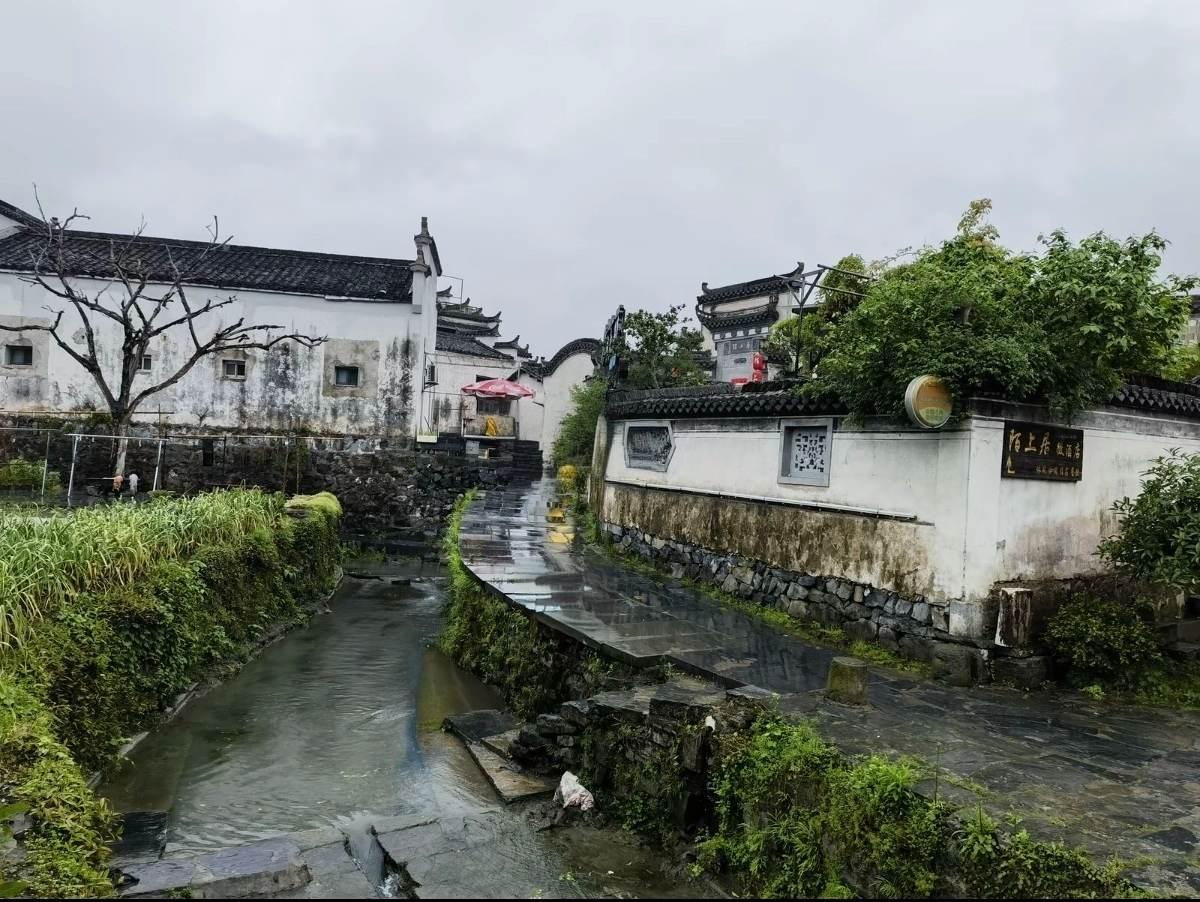 烟雨江南！我想水墨江南，应该大致是这样子的吧！