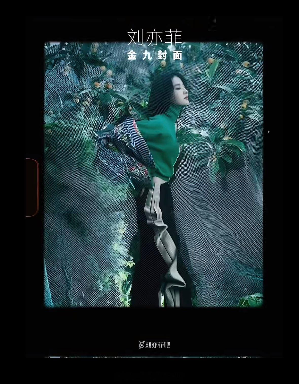 菲吧预告：刘亦菲时尚芭莎金九 