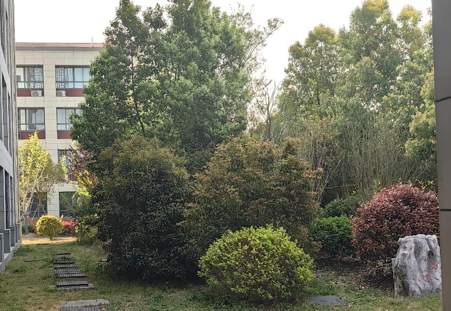 泰山景区的保护措施真的合理吗？“泰山是谁的泰山”这问题值得深思。如今百公里刀片式