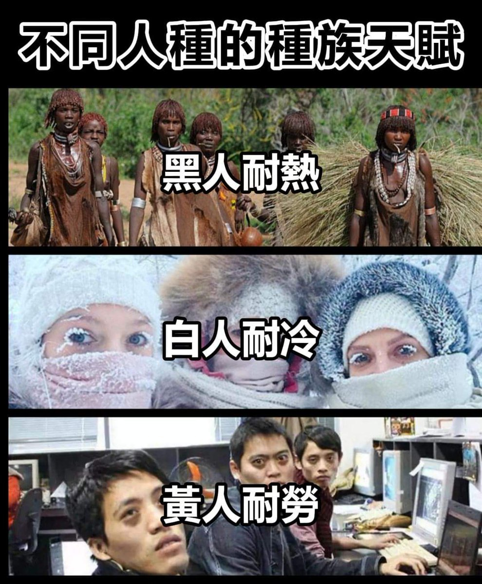 我爱工作[困]#meme# ​​​
