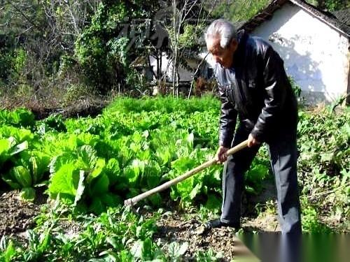 活得比你长，退休比你早。
就这句话，每次想起来，都觉得心里头有点五味杂陈。
你看