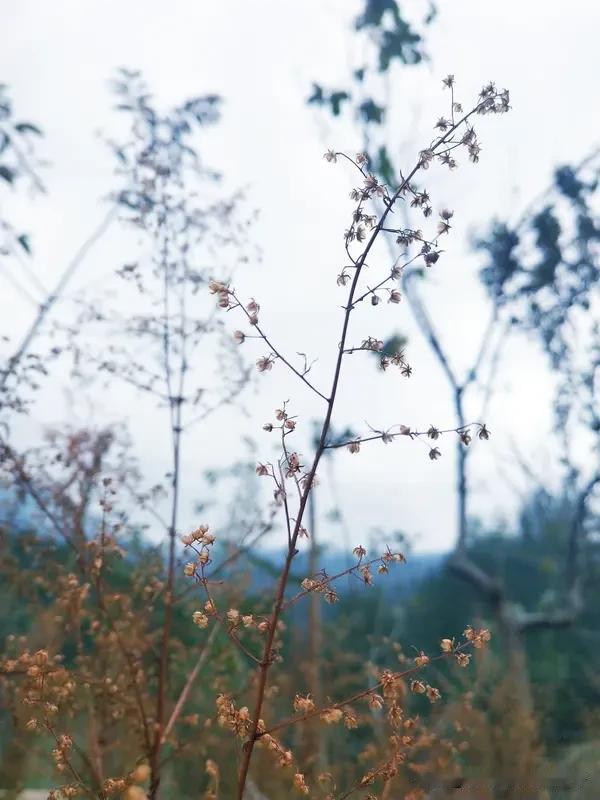 “用影像保护自然”活动号召青少年用镜头记录自然，这事儿太赞了！我国生物多样性丰富