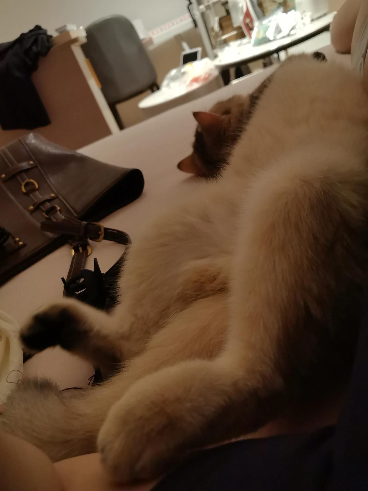 一个人最大的靠山,是什么?改错题不依不饶给v敢不敢不你也不听白天BTV鱼鱼鱼