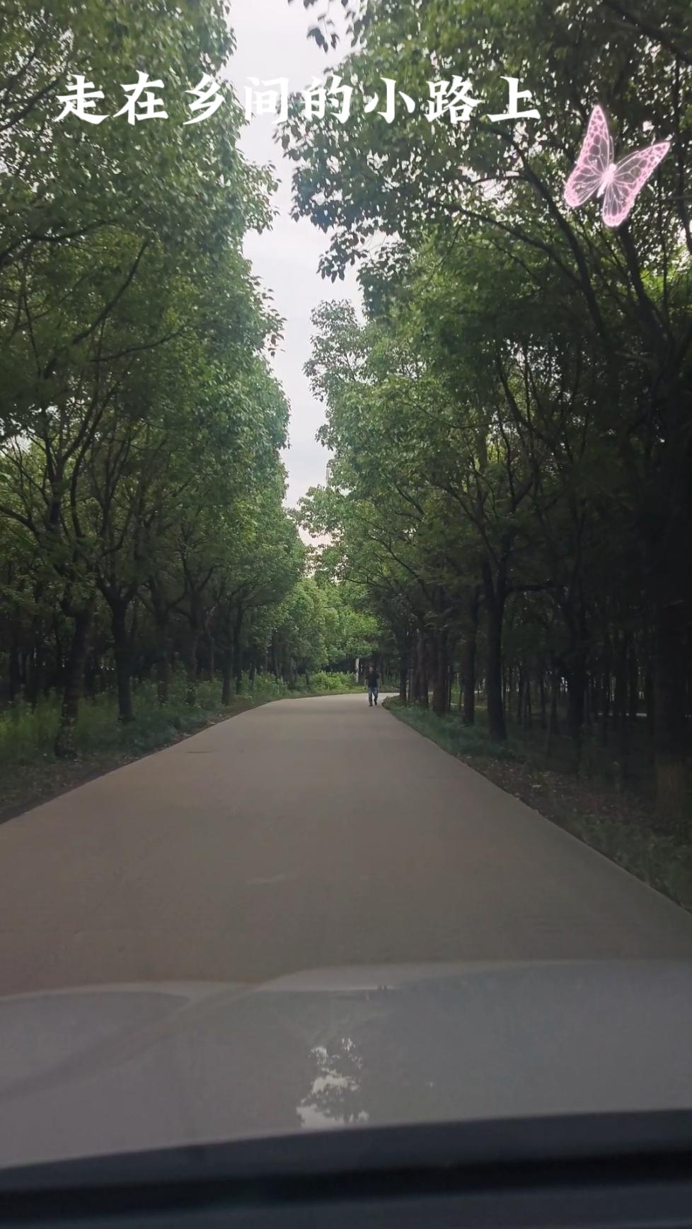 逛了米市渡的林间江畔、老址新景，不止是郊野的治愈风光，更是这片土地与黄浦江相生相