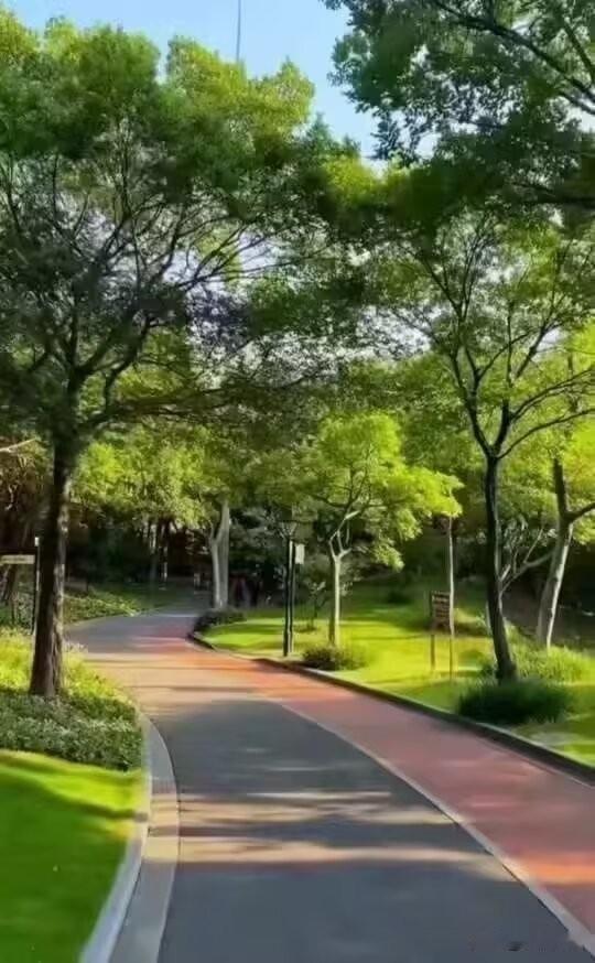 慢慢才明白，生活哪有什么轰轰烈烈，不过是把一日三餐吃好，把春夏秋冬过稳。

年轻