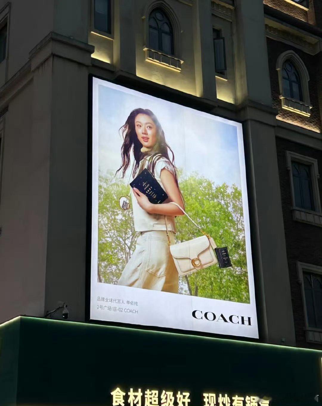 单依纯 蔻驰太有实力了！！！单依纯值得 