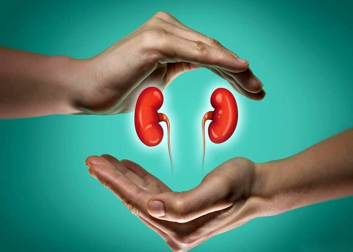 一张方子，密密麻麻二十多种药材，治的是尿毒症。
打头阵的，是车前子和茯苓，任务就