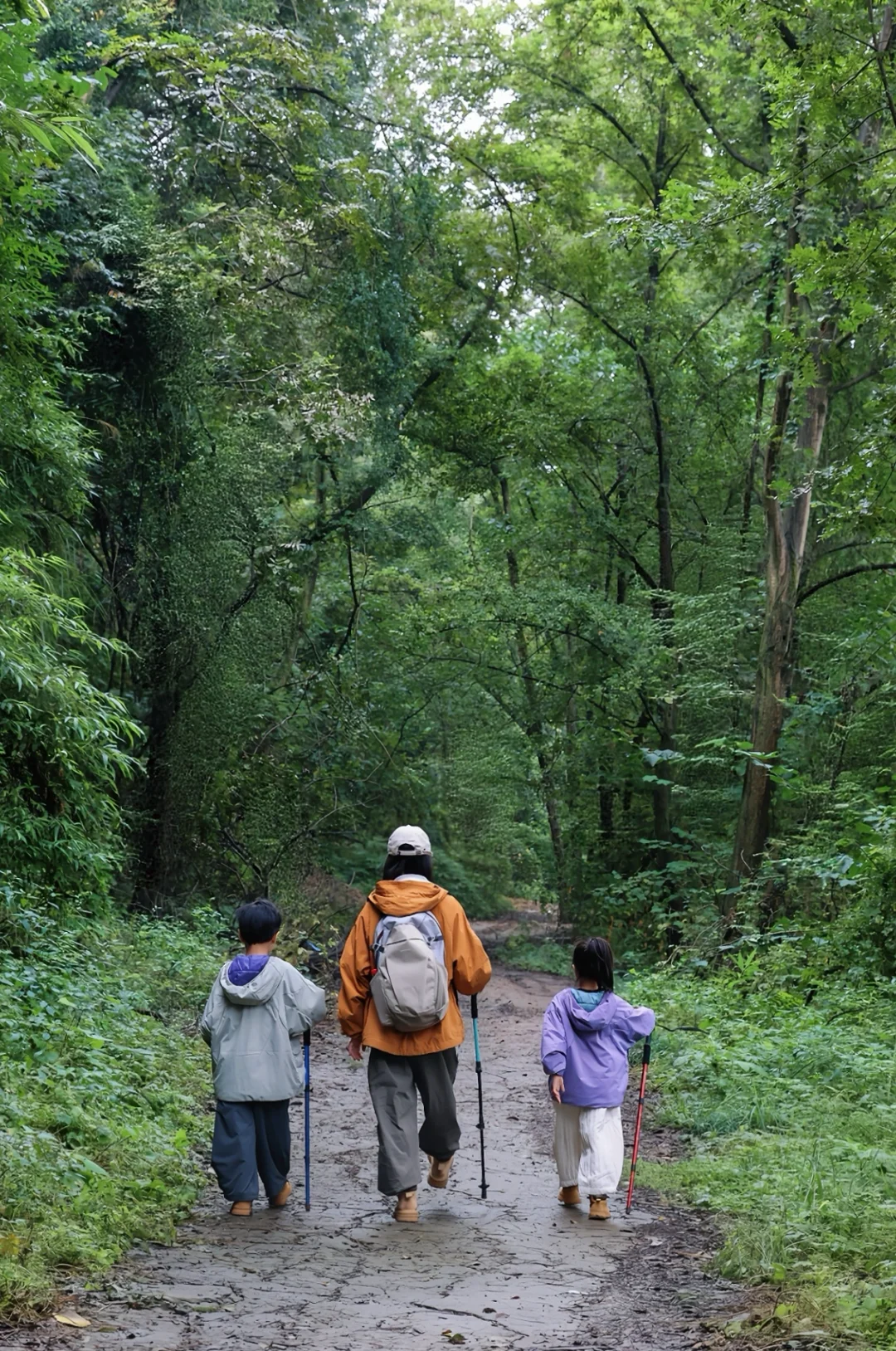 成都0.5h🚗｜南门超小众不费腿的亲子徒步地～