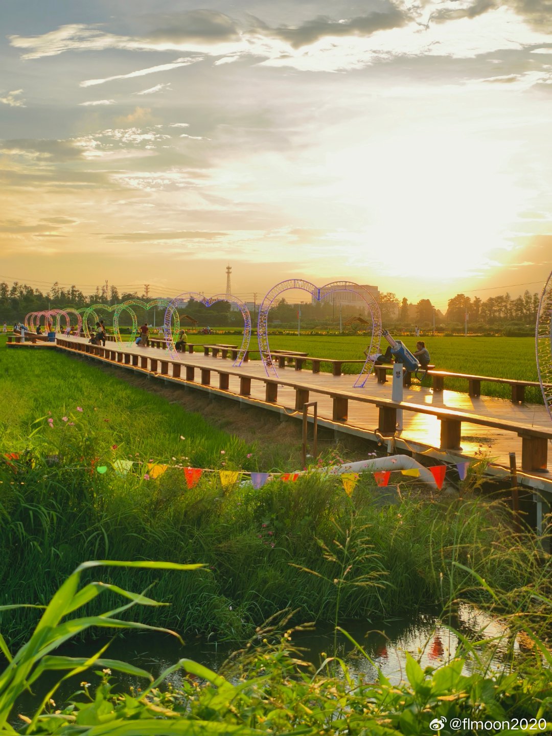 大湾区骑行 连雨不知春去，一晴方觉夏深！     CountryBike之龙头环