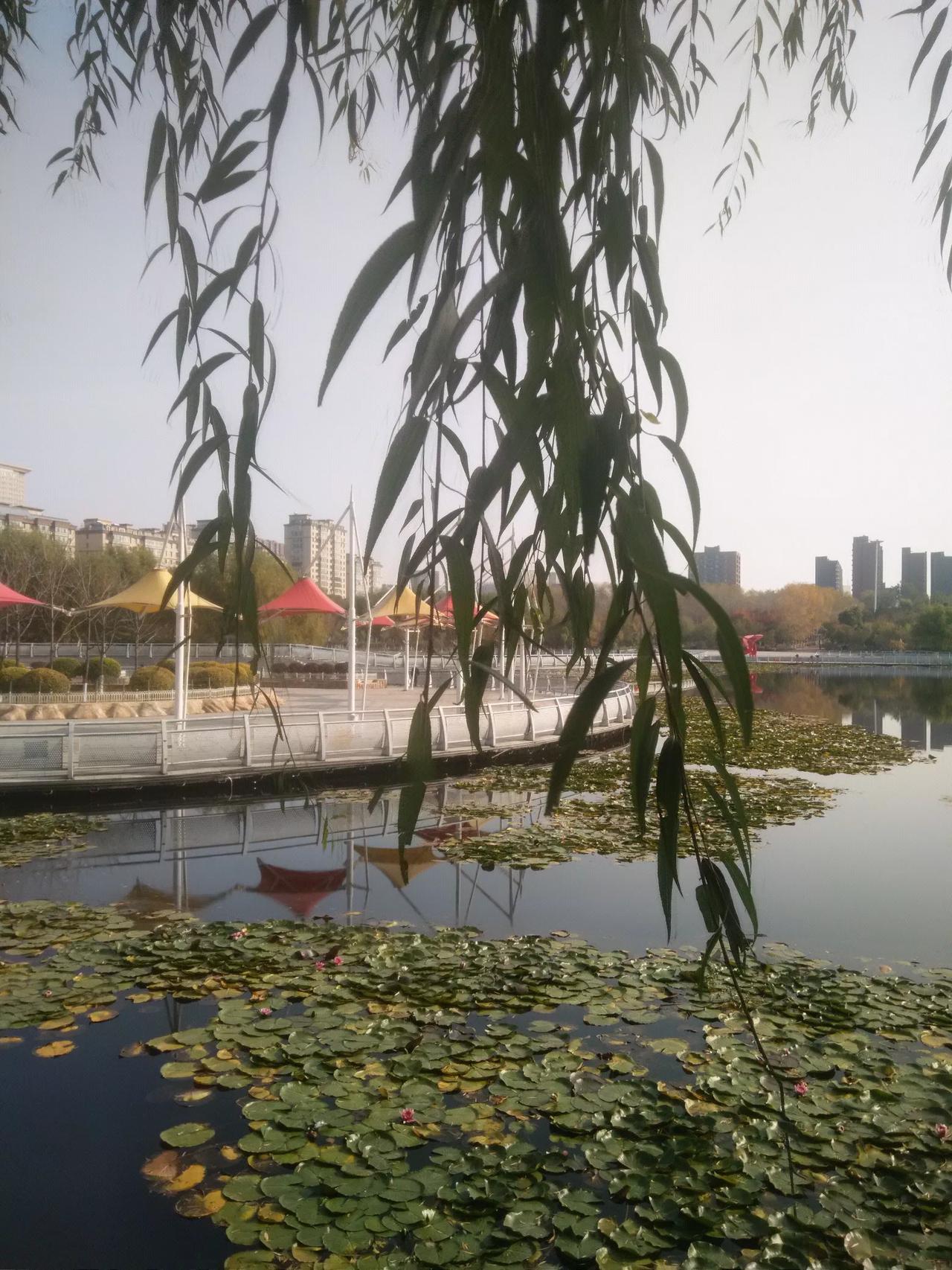 能发一张你拍过最美的风景照片吗