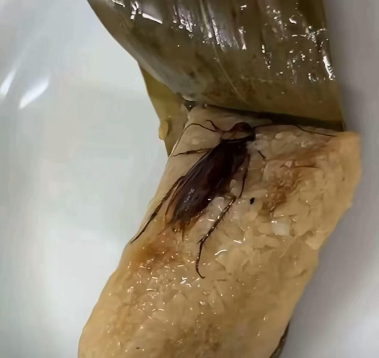 当你的广东朋友给你发来端午祝福？ 