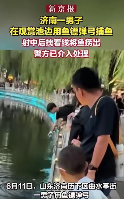 山东济南曲水亭街一名男子竟然众目睽睽之下，用上了专业的捕鱼工具——鱼镖弹弓，对池
