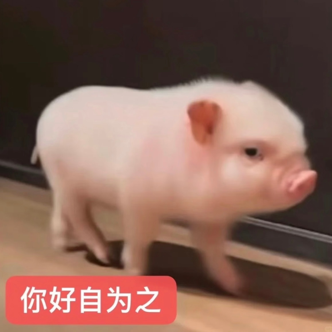 以为自己期末周会发奋图强 最燃的其实是我的手机还有充电器 