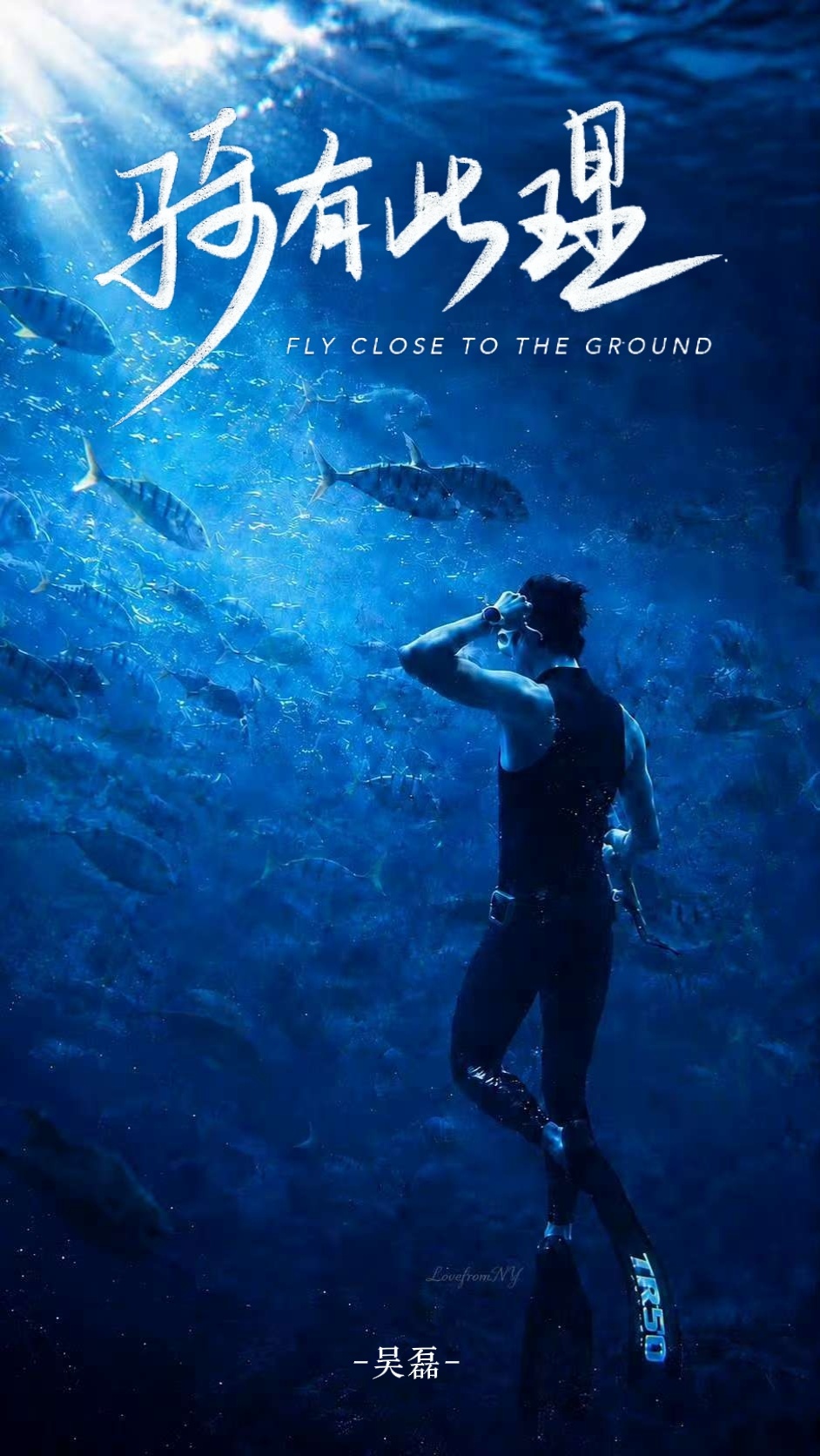 水族馆的男美人鱼竟然是吴磊妈呀！我和你们偶遇的人拼啦！期待吴磊新一季的《骑有此理