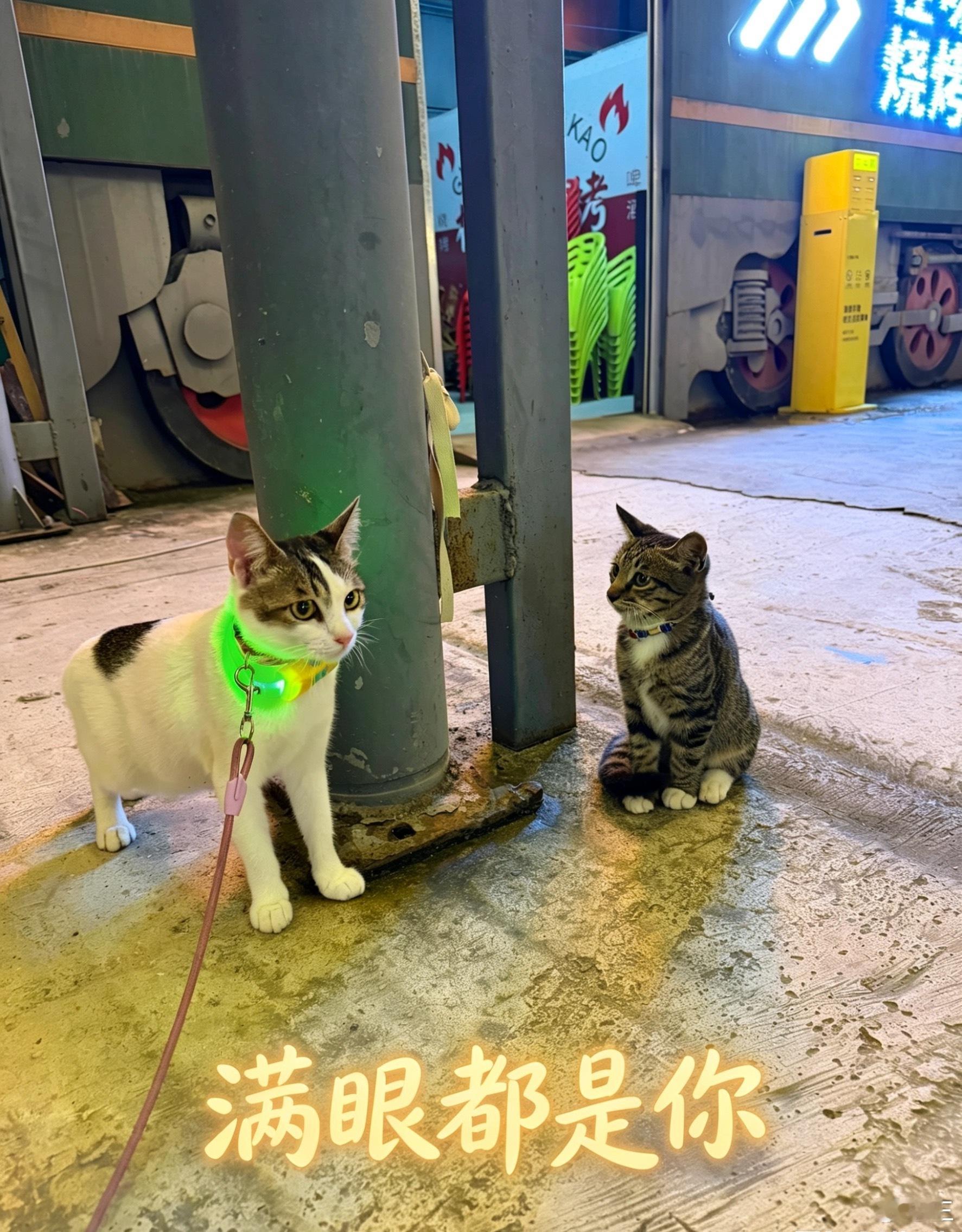 分享图片 南宁