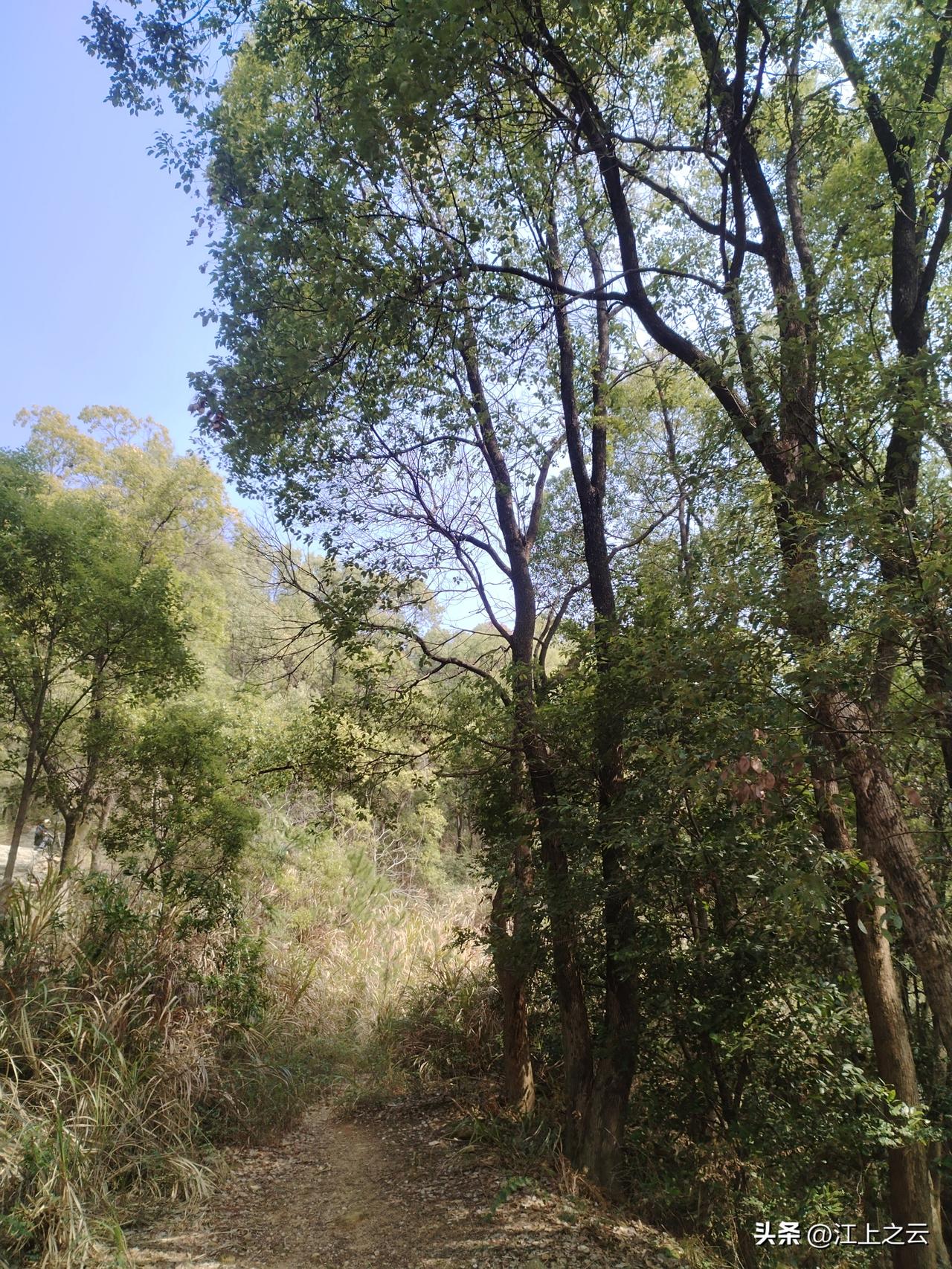 南昌梅岭爬山，风景这边独好！

山不在高，有仙则名。水不在深，有龙则灵。斯是陋室