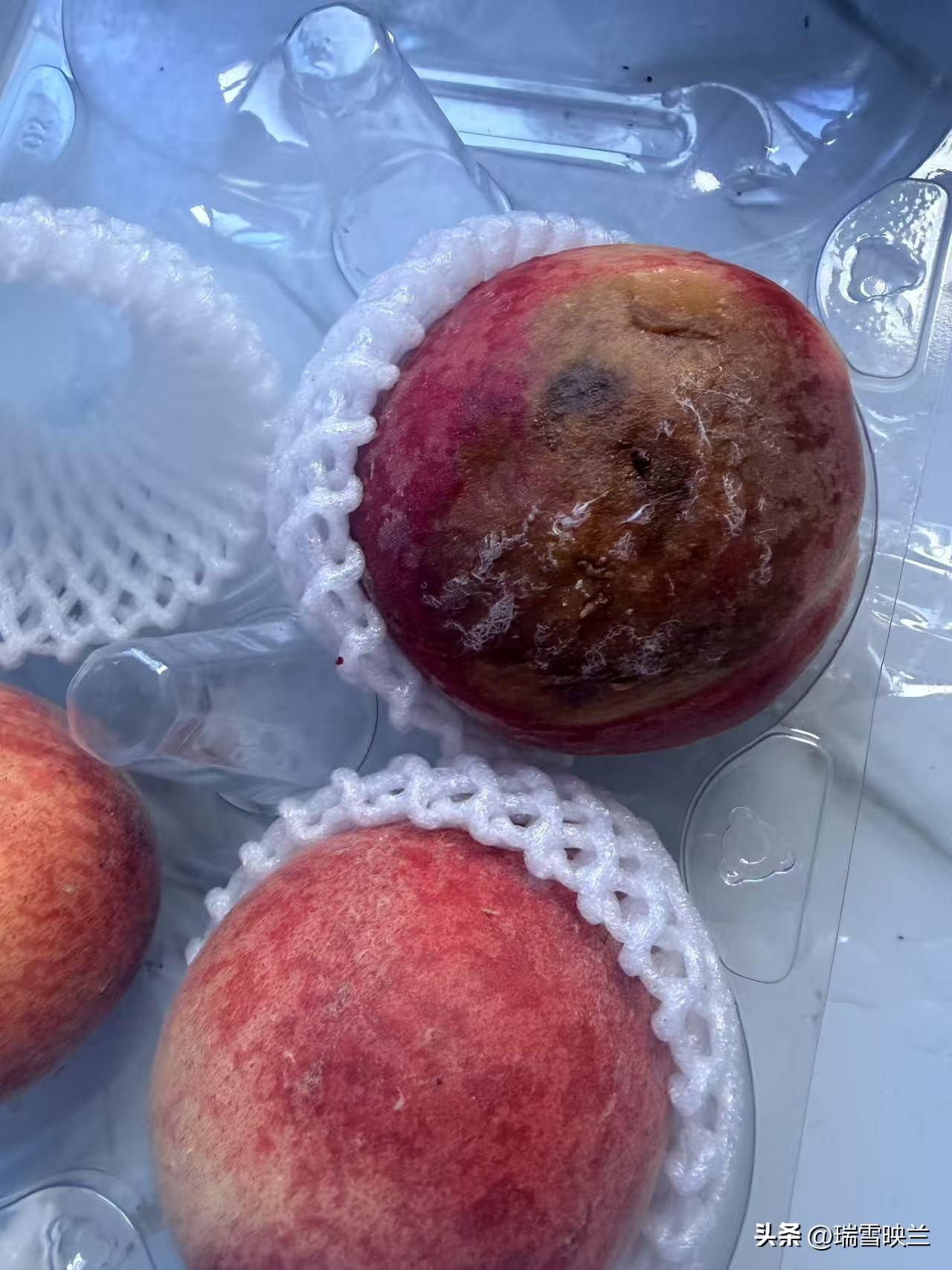 我才知道，在盒马超市里买的蔬菜水果等物品，如果在保质期内出现了问题，是可以退钱的