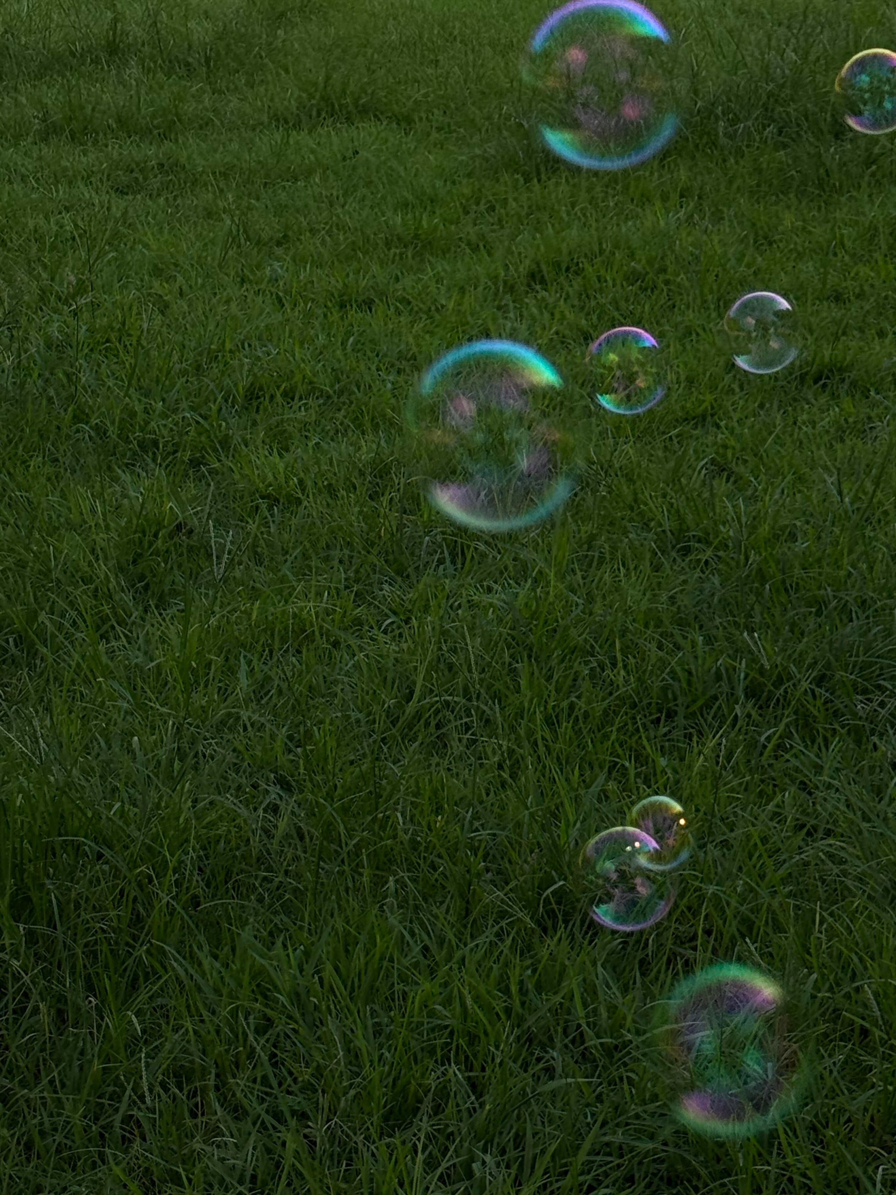 * 🏠🐱 °。日日又常常！☆(๑>